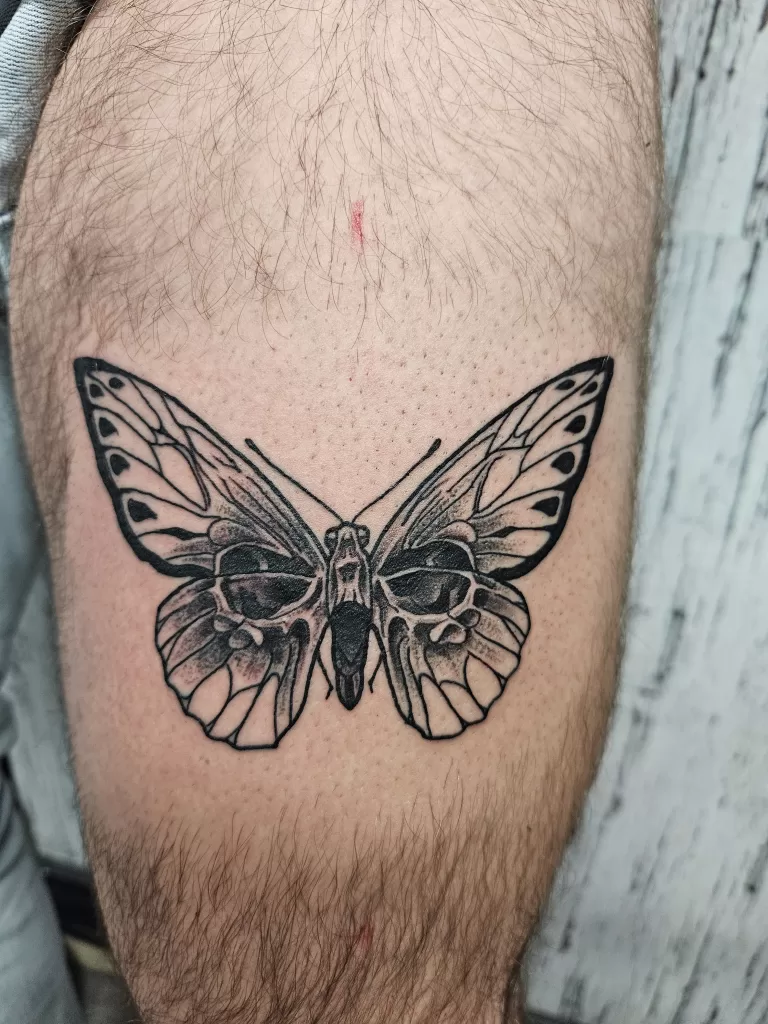 Black and grey skull butterfly